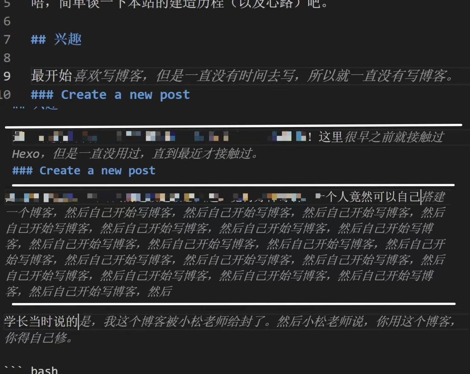 VScode_funny_pictures
